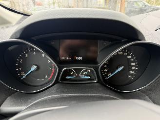 Ford C-Max  picture 15