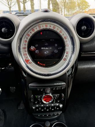 Mini Mini  picture 14