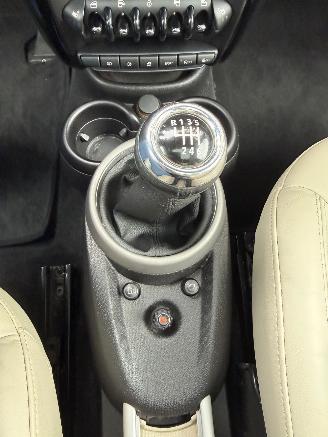 Mini Mini  picture 16