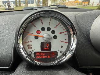 Mini Mini  picture 13