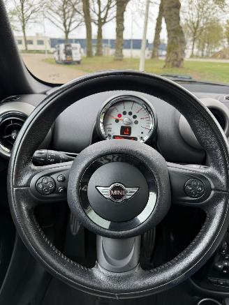 Mini Mini  picture 17