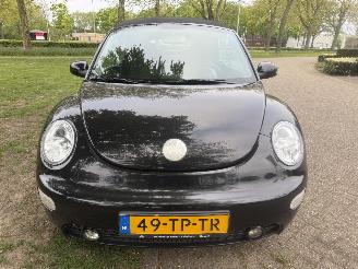Volkswagen Beetle  picture 8