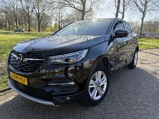 Unfallwagen Opel Grandland X 2021/1