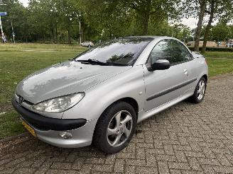 Damaged car Peugeot 206  2002/1