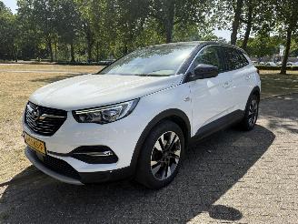 Vaurioauto  passenger cars Opel Grandland X 2018/1