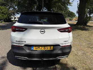 Opel Grandland X picture 4