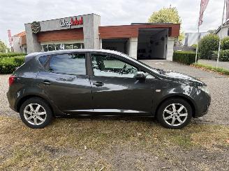 Seat Ibiza  picture 6