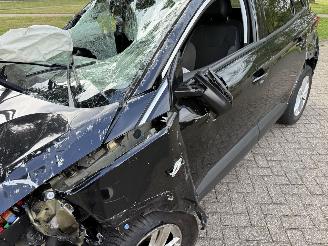 Opel Grandland X picture 12