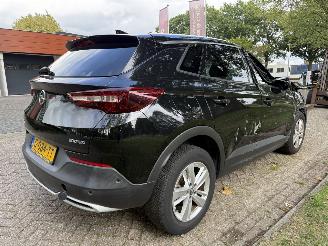 Opel Grandland X picture 5