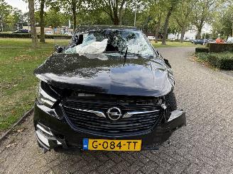 Opel Grandland X picture 8