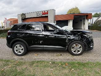 Opel Grandland X picture 6