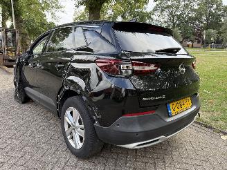 Opel Grandland X picture 3