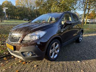 Avarii autoturisme Opel Mokka  2013/1