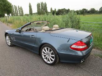 Mercedes Sl-roadster 550 - Panoramadak picture 12