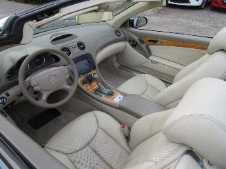 Mercedes Sl-roadster 550 - Panoramadak picture 29