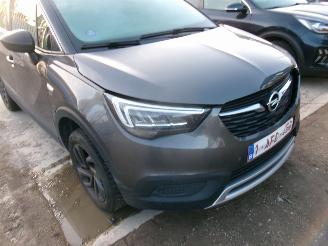 Opel Crossland 1.2 - 120 Jahre Edition picture 7