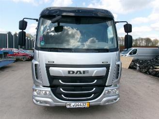 DAF LF 210 LF 210 FA - Transport Machines-Cars-Caravan picture 6