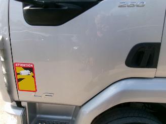 DAF LF 210 LF 210 FA - Transport Machines-Cars-Caravan picture 25