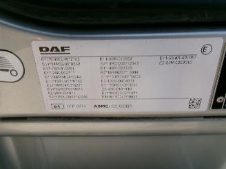 DAF LF 210 LF 210 FA - Transport Machines-Cars-Caravan picture 26