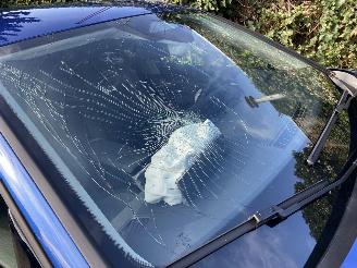 Skoda Superb Mild Hybrid 1.5 TSi MHEV Business Edition Automaat Kombi picture 26