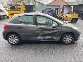 Peugeot 207 207/207+ (WA/WC/WM), Hatchback, 2006 / 2015 1.4 16V VTi picture 6
