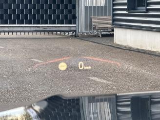 BMW 3-serie 330i xDrive 2.0 TwinPower Turbo 16V Sedan 4Dr Benzine 1.998cc 180kW (245pk) 4x4 picture 23