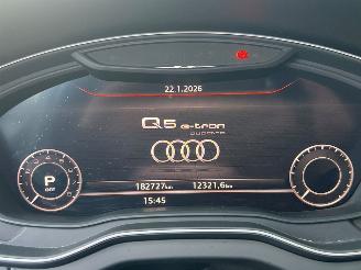 Audi Q5 55 TFSI 3x S Line 16V Quattro SUV  Elektrisch Benzine 1.984cc 270kW (367pk) 4x4 2019-08  DLGA picture 22