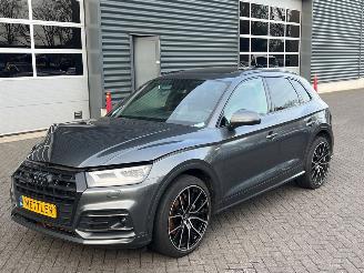 damaged passenger cars Audi Q5 55 TFSI 3x S Line 16V Quattro SUV  Elektrisch Benzine 1.984cc 270kW (367pk) 4x4 2019-08  DLGA 2020/6