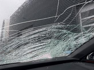 Cupra Leon 1.4 e-Hybrid 245, VZ 16V Hatchback  Elektrisch Benzine 1.395cc 180kW (245pk) FWD picture 29