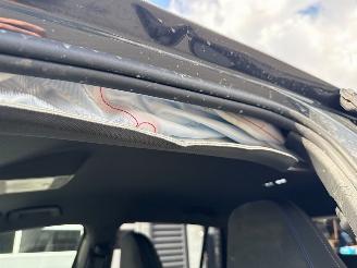 Volkswagen Tiguan 2.0 TDI 3x R-Line, SUV  Diesel 1,968cc 110kW (150pk) FWD  massage stoelen picture 34