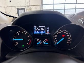 Ford Kuga 1.5 Titanium EcoBoost 16V 150 SUV  Benzine 1.499cc 110kW (150pk) FWD 2014-09/2019-06  M8MA picture 19