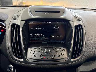 Ford Kuga 1.5 Titanium EcoBoost 16V 150 SUV  Benzine 1.499cc 110kW (150pk) FWD 2014-09/2019-06  M8MA picture 20