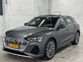 škoda osobní automobily Audi E-tron 55 quattro 3x s-line SUV  Elektrisch  300kW (408pk) 4x4 2018-09/2023-07  EASA; EAWA 2020/11