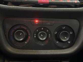 Fiat Doblo 1.4 T-Jet 16V Bestel  Benzine 1.368cc 88kW (120pk) FWD picture 21