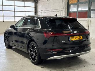 Audi E-tron 50 quattro SUV  Elektrisch  230kW (313pk) 4x4 2019 picture 3