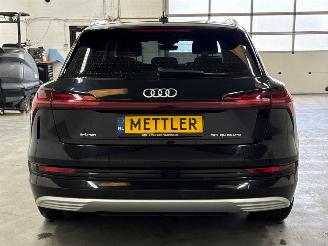 Audi E-tron 50 quattro SUV  Elektrisch  230kW (313pk) 4x4 2019 picture 4