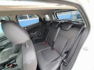 Ford EcoSport 1.0 EcoBoost Titanium S picture 20