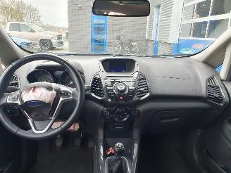 Ford EcoSport 1.0 EcoBoost Titanium S picture 14