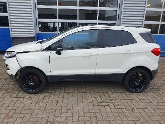 Ford EcoSport 1.0 EcoBoost Titanium S picture 2