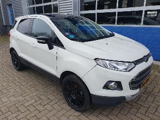 Ford EcoSport 1.0 EcoBoost Titanium S picture 7