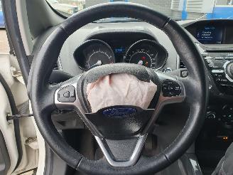 Ford EcoSport 1.0 EcoBoost Titanium S picture 15