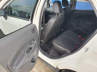 Ford EcoSport 1.0 EcoBoost Titanium S picture 19