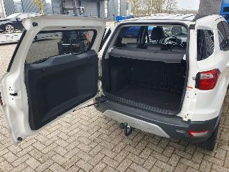 Ford EcoSport 1.0 EcoBoost Titanium S picture 10