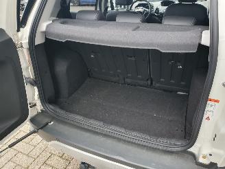 Ford EcoSport 1.0 EcoBoost Titanium S picture 11