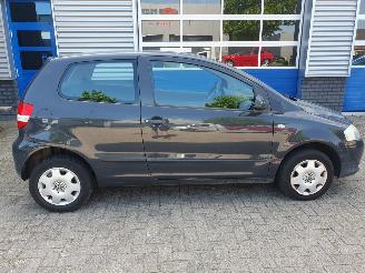Volkswagen Fox 1.2 Trendline picture 6