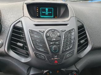 Ford EcoSport 1.0 EcoBoost Titanium picture 22