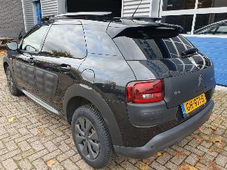 Citroën C4 cactus 1.6 BlueHDi Business picture 3