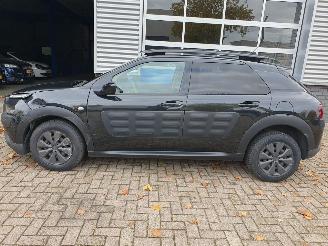 Citroën C4 cactus 1.6 BlueHDi Business picture 2
