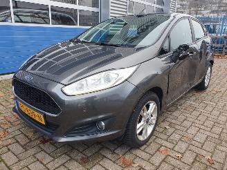 škoda osobní automobily Ford Fiesta 1.0 Titanium 2016/7