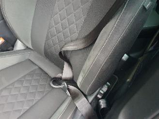 Skoda Kamiq 1.0 TSI Sport Business Automaat picture 17